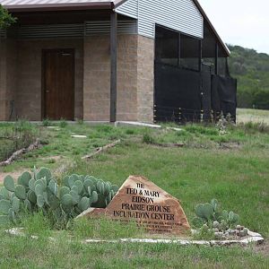 Intensive Management Area