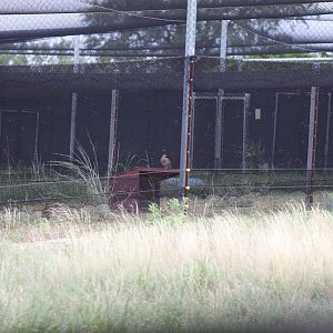 Intensive Management Area