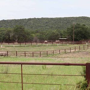 Intensive Management Area