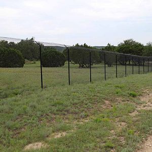 Intensive Management Area