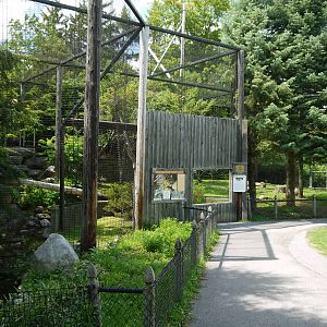 Mountain Lion exhibt