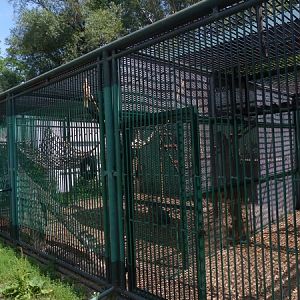 gibbon cages