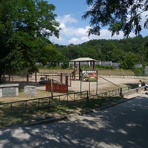 zebra/giraffe exhibit