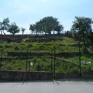 Deer and goat exhibit