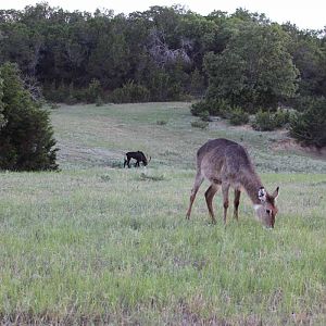 Tent Camp - July 25 to 26, 2013