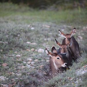 Tent Camp - July 25 to 26, 2013