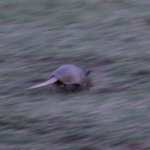 Tent Camp - July 25 to 26, 2013