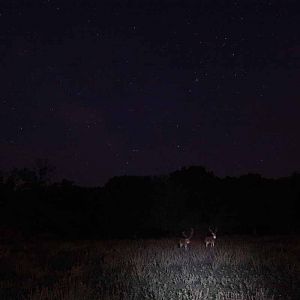 Tent Camp - July 25 to 26, 2013