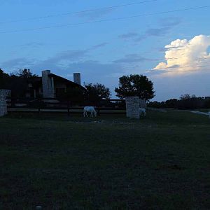 Tent Camp - July 25 to 26, 2013