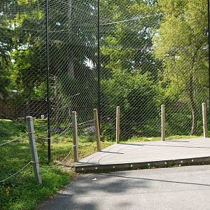 Bald Eagle and Raven Exhibit