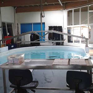 rehab-enclosure porpoise
