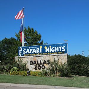 Safari Nights, July 27, 2013.