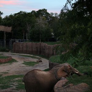 Safari Nights, July 27, 2013.