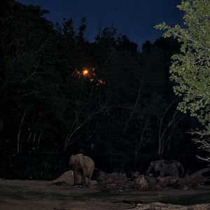 Safari Nights, July 27, 2013.