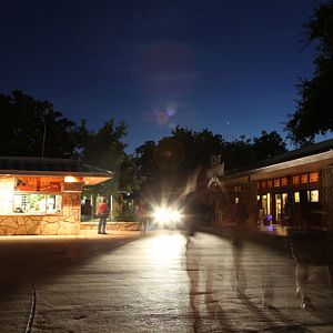 Safari Nights, July 27, 2013.