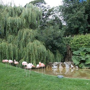 Dudley zoo 09/08/2013