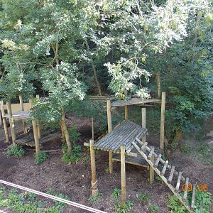 Tiger exhibit at Dudley