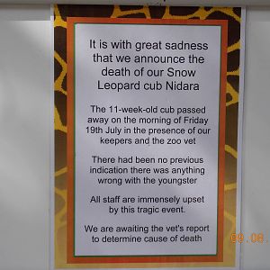 Sad Snow Leopard Sign