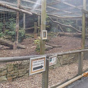 Eurasian Lynx Exhibit