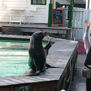 Dolfinarium Harderwijk  8.08.2012