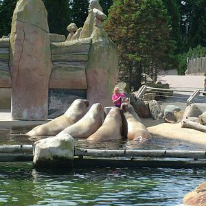 Dolfinarium Harderwijk  8.08.2012