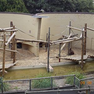 Orang-utan outdoor area 09/08/2013