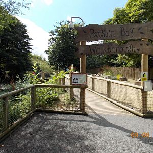 Penguin Bay