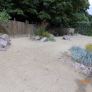 Penguin Bay - Beach area