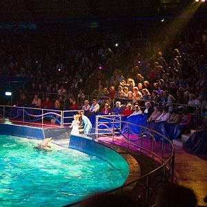 Dolfinarium Harderwijk 8.08.2012
