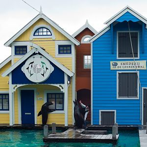 Dolfinarium Harderwijk 8.08.2012