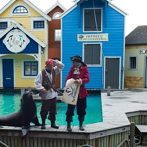 Dolfinarium Harderwijk 8.08.2013