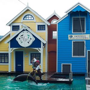 Dolfinarium Harderwijk 8.08.2013