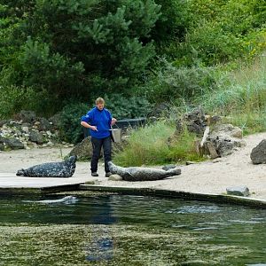 Dolfinarium Harderwijk 8.08.2013