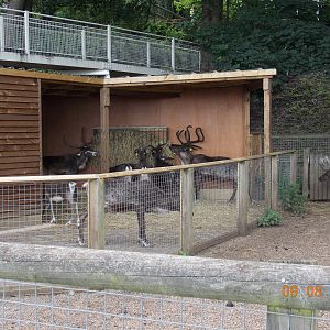 New Reindeer stable