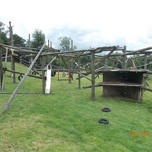 Chimpanzee outdoor area