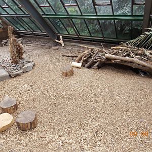 South African Porcupine Enclosure
