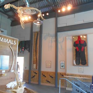 Rocky Shores main gallery