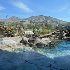 Rocky Point polar bear exhibit land area