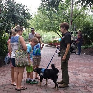 Aug. 2013 - Meet Blakely