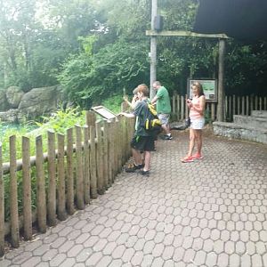 Aug. 2013 - Elephant Reserve - Elephant Encounter Seating