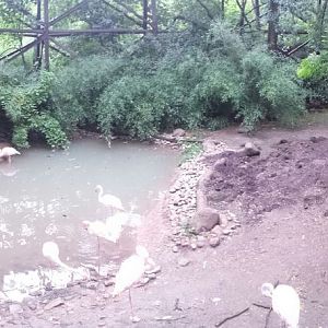 Aug. 2013 - Rhino Reserve - Flamingo Cove