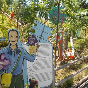 Hogle_lego_tamarins_interpretive