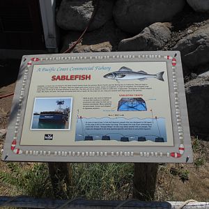 Sustainable fishery conservation sign