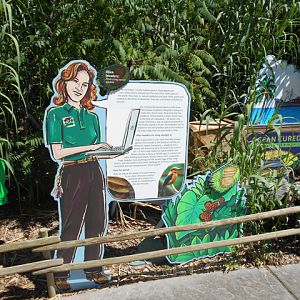 Lego brown tree snake interpretive