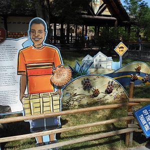 Lego diamondback tortoises