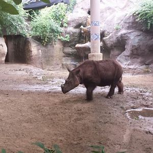 Aug. 2013 - Wildlife Canyon - Harapan