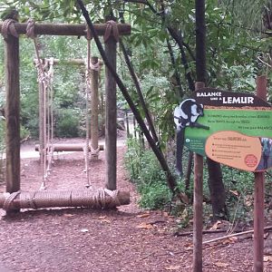 Aug. 2013 - Jungle Trails - Balance Like a Lemur