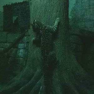 Aug. 2013 - Night Hunters - Southern Brazilian Ocelot