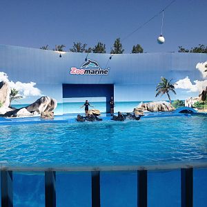 Dolphinarium