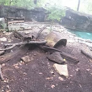 Aug. 2013 - Wolf Woods - North American River Otter Exhibit